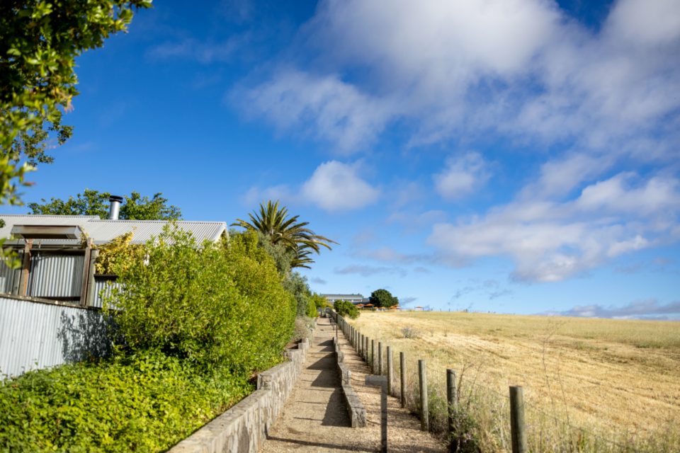Steps leading down a grassy countryside path under a wide sky
