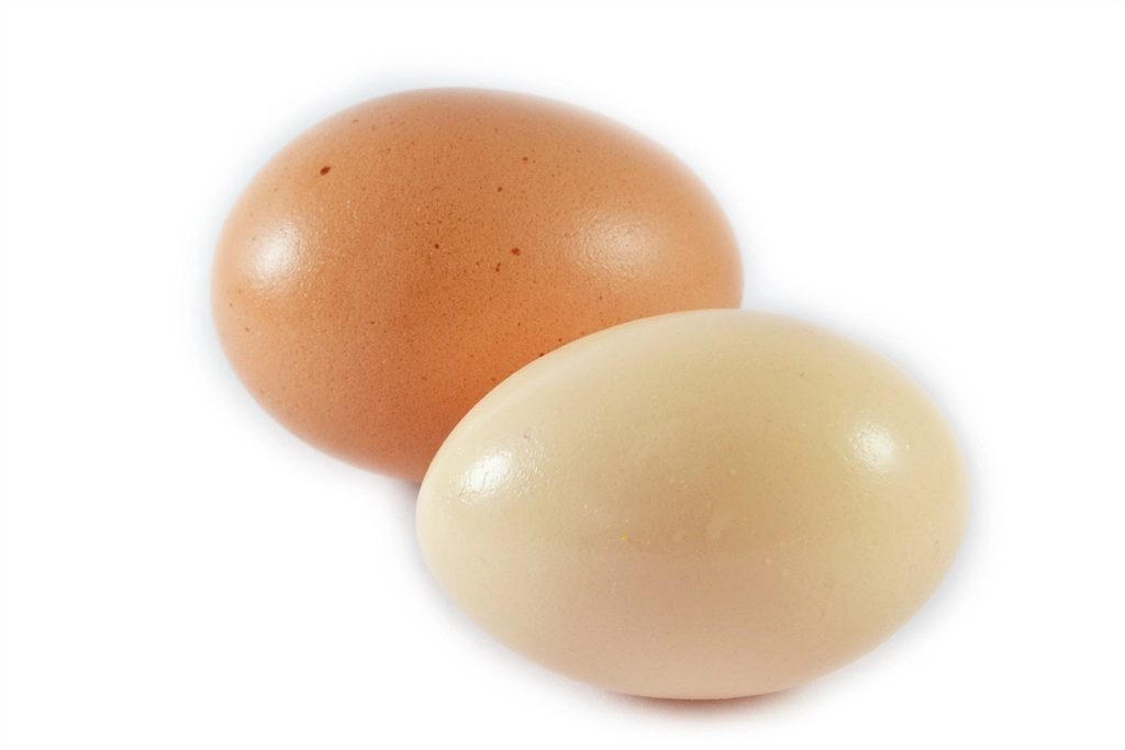 Two eggs, one brown and one white, on a plain background