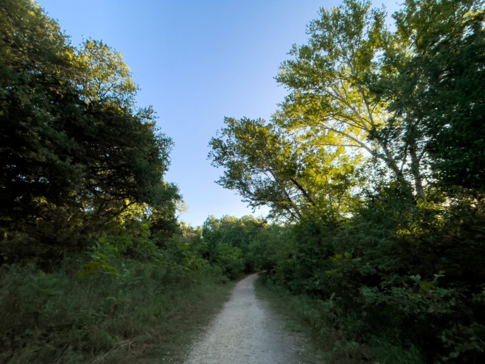 A wide gravel path running between trees in the countryside